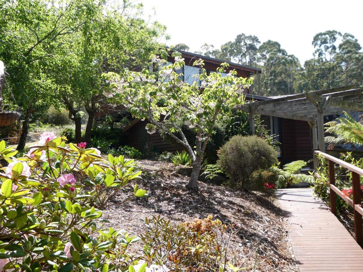 Osprey Lodge & Bungalow Eaglehawk Neck Exterior photo